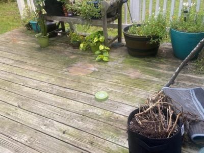 Expert Deck Renovation
